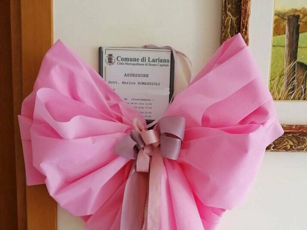 Lariano, fiocco rosa in Comune: è nata la piccola Aurora Romaggioli! Auguri  a papà Enrico e mamma Alessia - Castelli Notizie