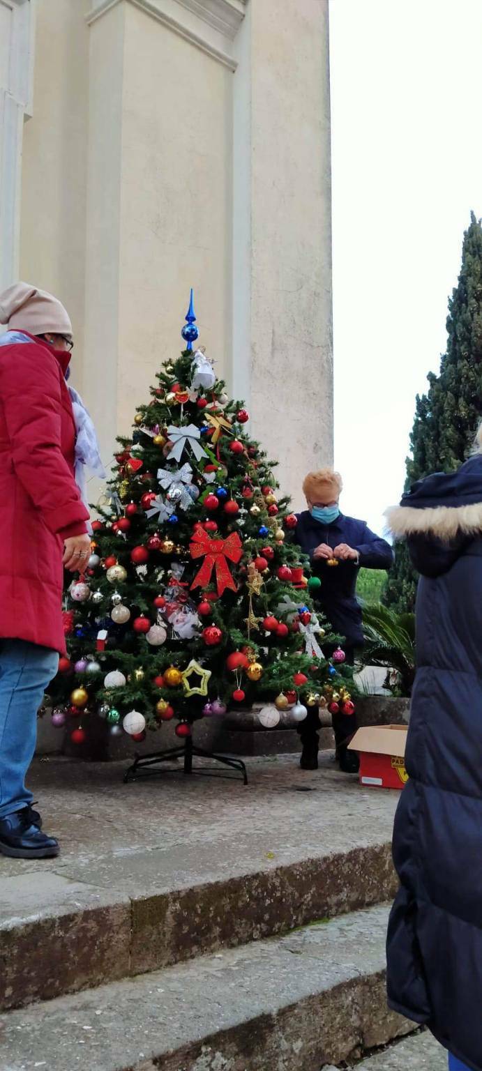 Cimitero albero Genzano