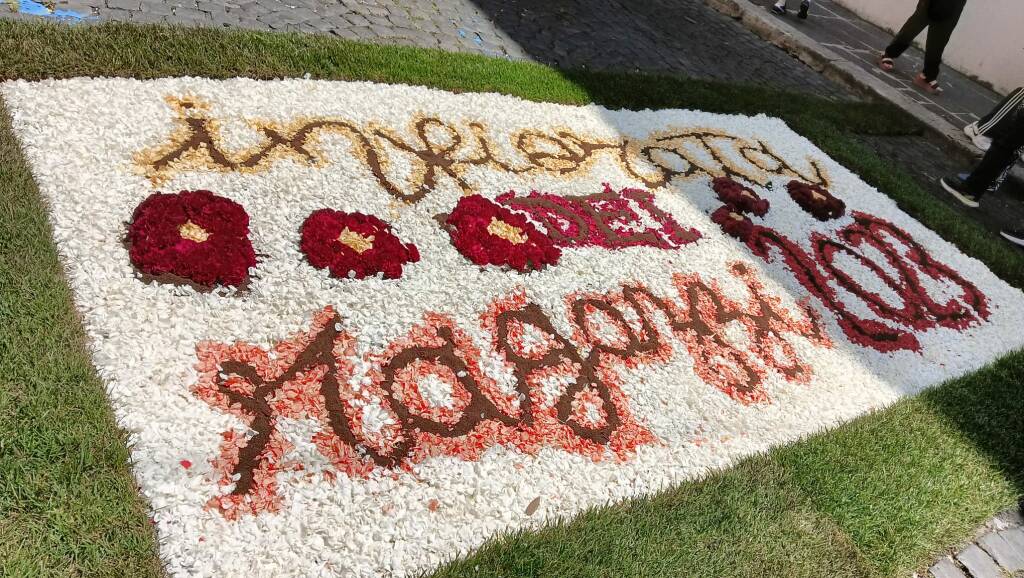 GENZANO - I ragazzi realizzano l'Infiorata su via Buozzi