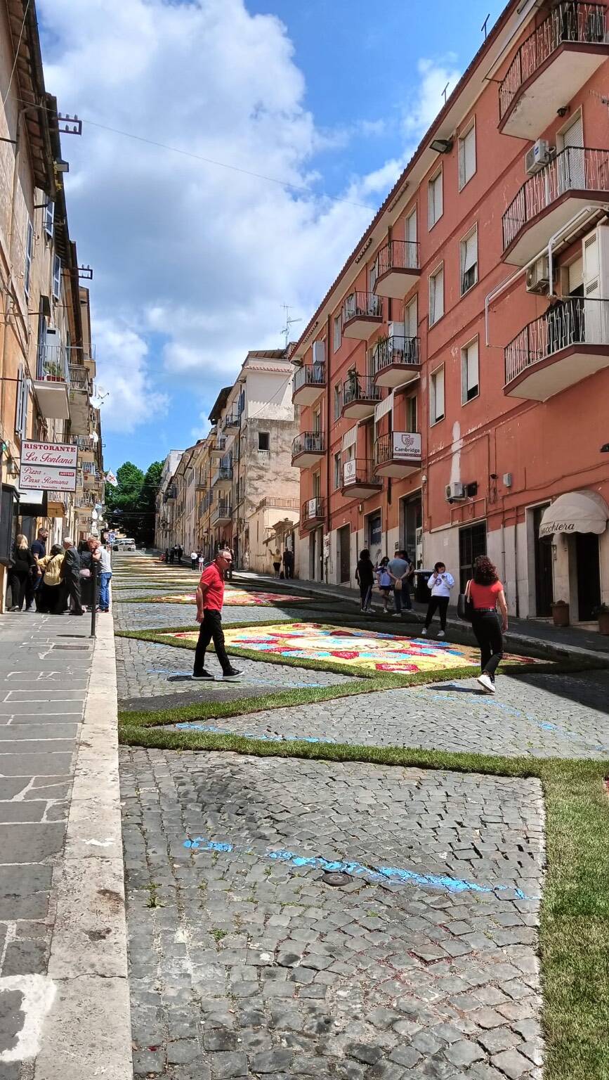 GENZANO - I ragazzi realizzano l'Infiorata su via Buozzi