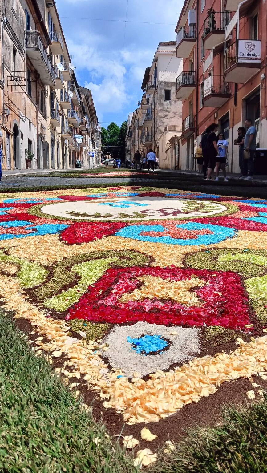 GENZANO - I ragazzi realizzano l'Infiorata su via Buozzi