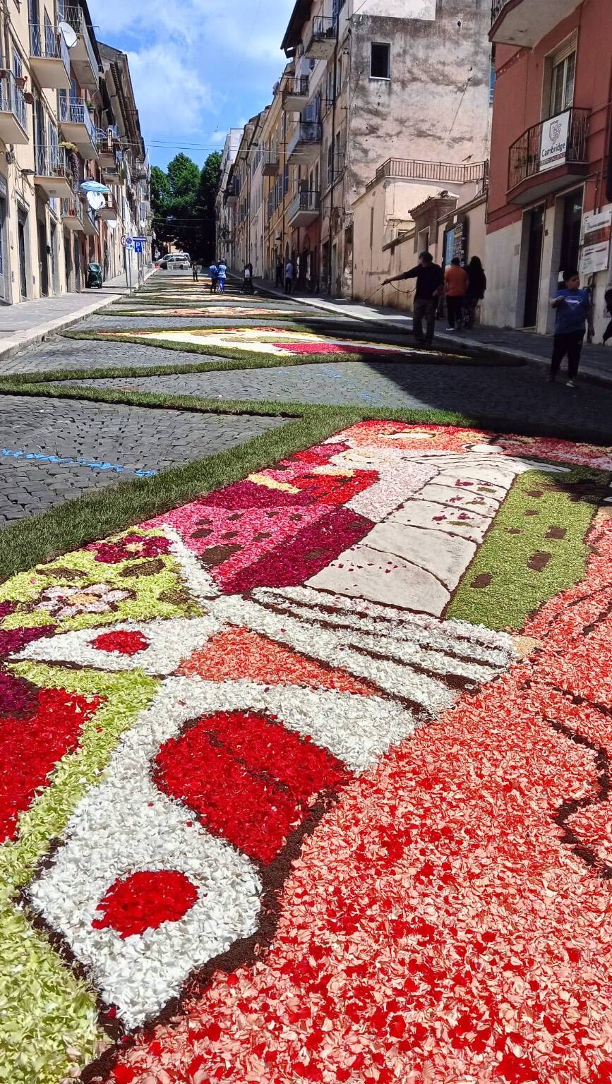 GENZANO - I ragazzi realizzano l'Infiorata su via Buozzi