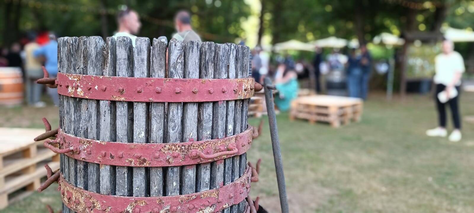 LARIANO - Degustazioni nella natura con Bosco DiVino