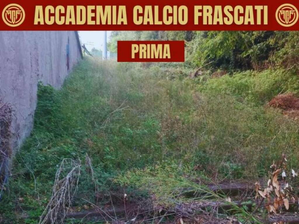 frascati 8 settembre pulizia erbacce 