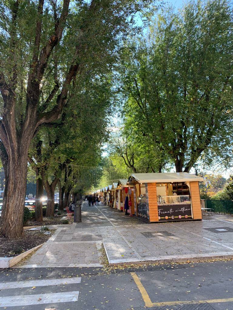 FRASCATI - Il Villaggio Natalizio tra luminarie, mercatino e pista di ghiaccio