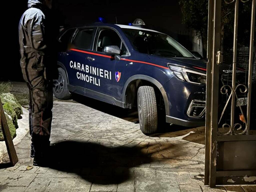 operazione antidroga castelli romani