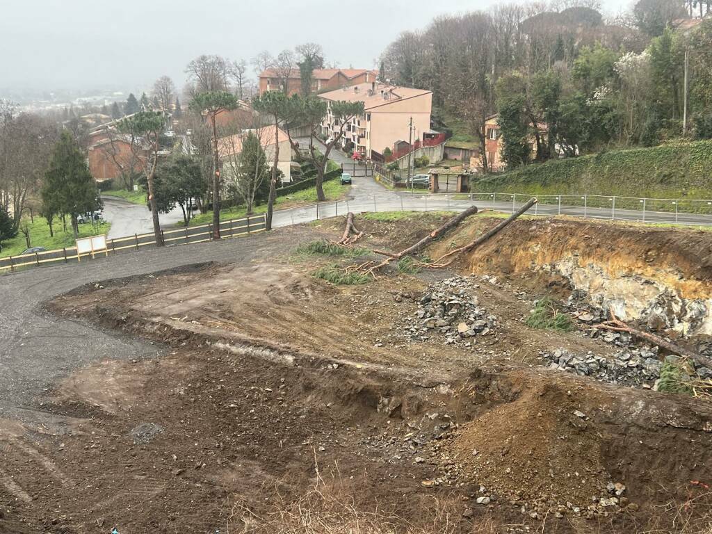 taglio pini cantiere monte compatri scuola