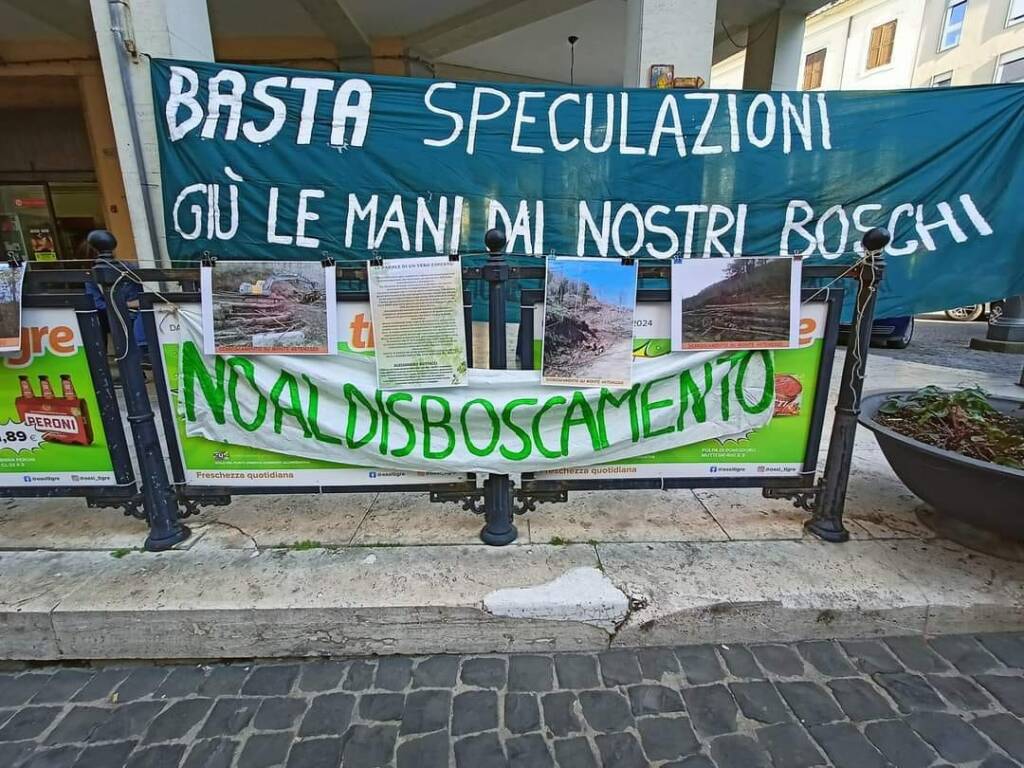 comitato protezione boschi velletri