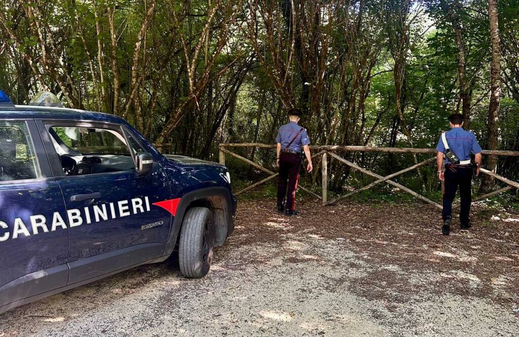 carabinieri bosco