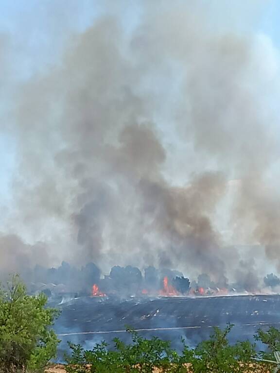 incendio Nettunense