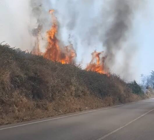 incendio via nettunense 