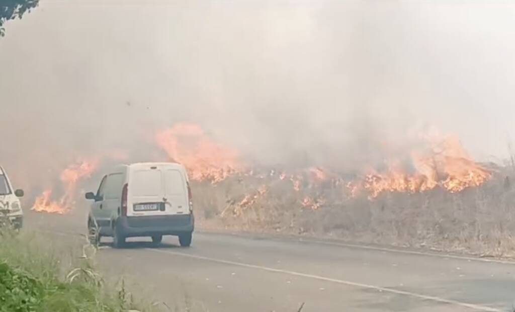 incendio Nettunense