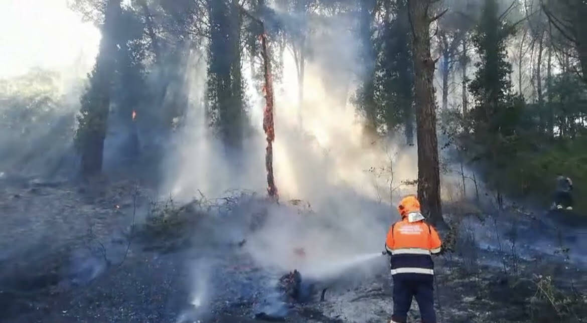 incendio tuscolo luglio 2024