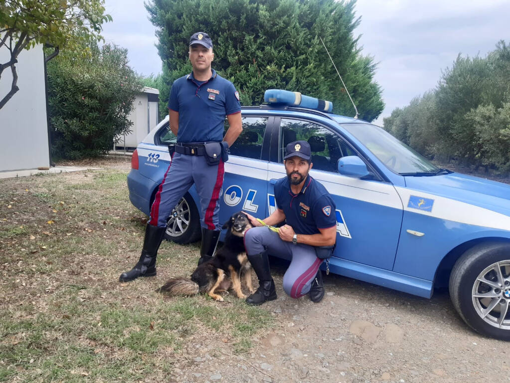 Polizia Abbandono Animali