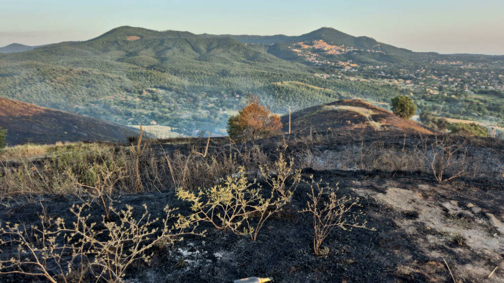 Incendio monte Tuscolo luglio 2024