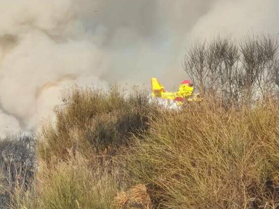 Incendio monte Tuscolo luglio 2024