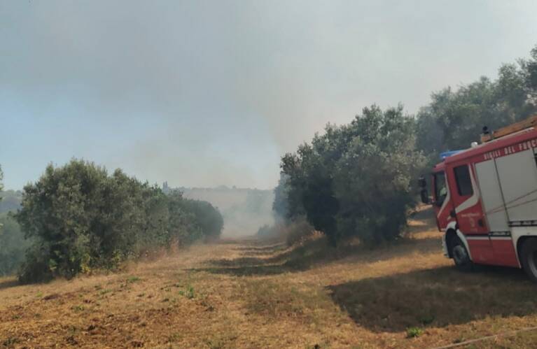 Maxi incendio a Santa Palomba (FOTO