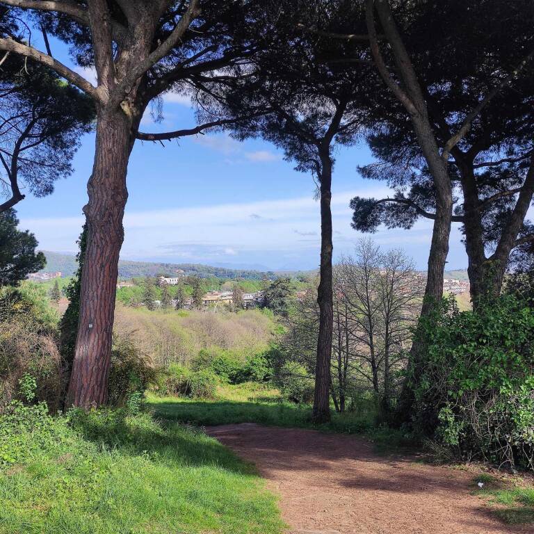 Tra Ariccia e Genzano si erge Colle Parco, un incanto della natura (FOTOGALLERY)