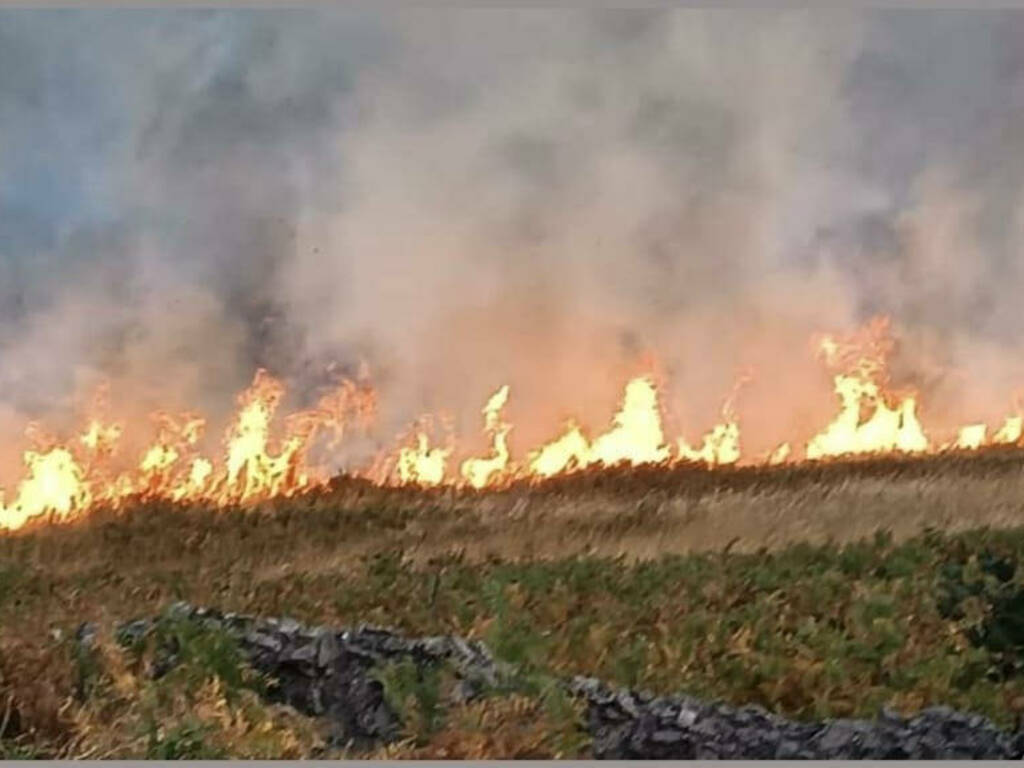 incendio tuscolo