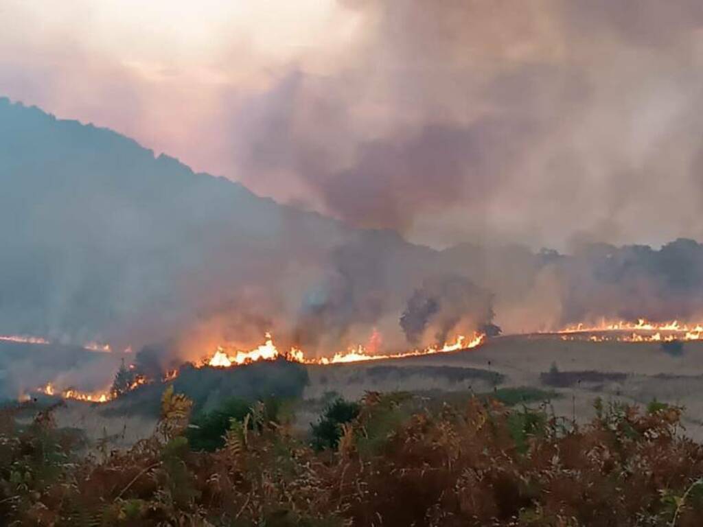 incendio tuscolo pratarena 