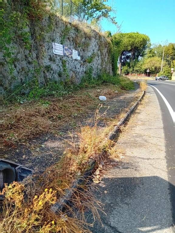 ripulita strada via maremmana Giulia