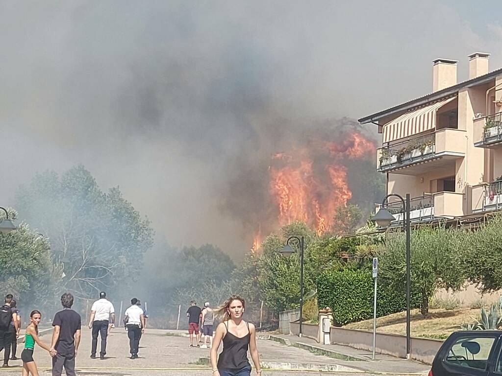 Grottaferrata - Le foto dell'incendio divampato in zona Borghetto