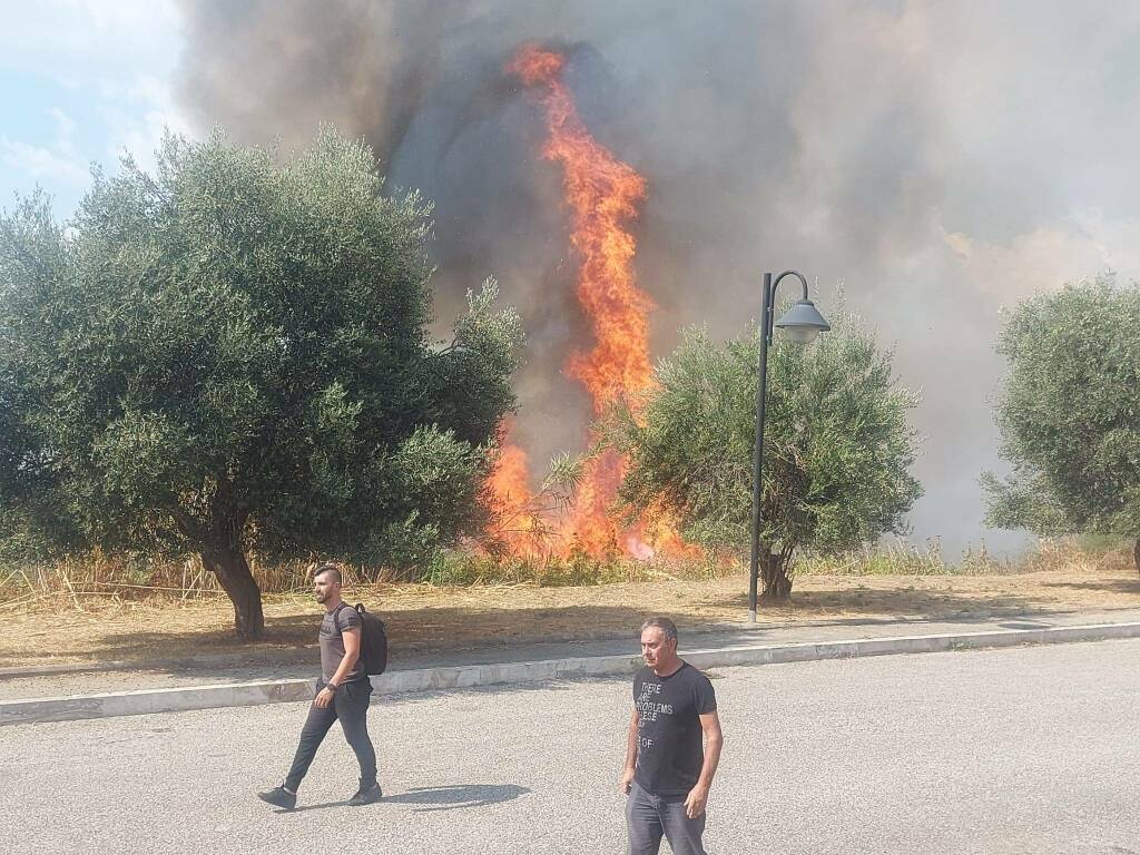 Grottaferrata - Le foto dell'incendio divampato in zona Borghetto