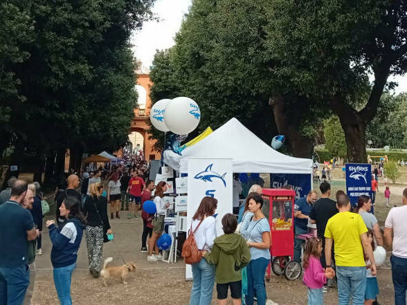 Frascati Festa dello Sport