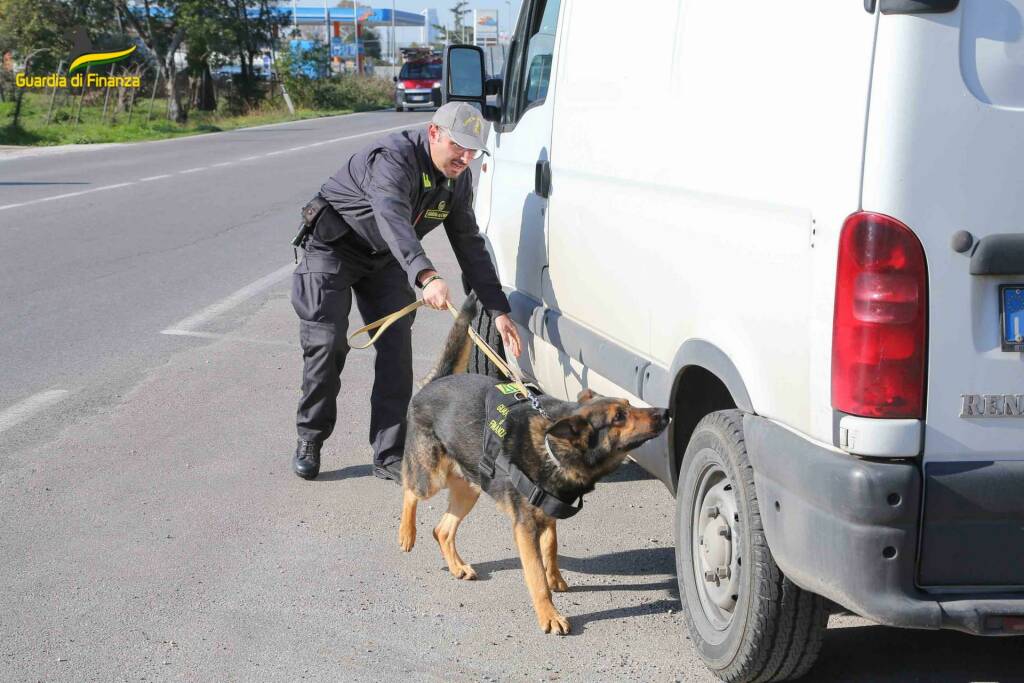 GUARDIA DI FINANZA LATINA