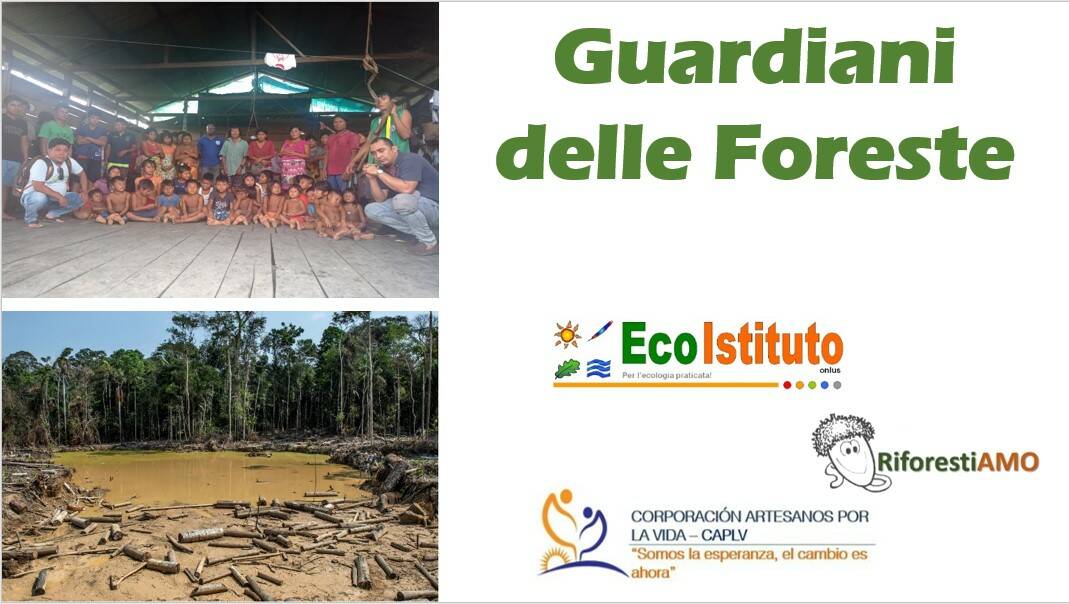 Guardiani Foreste