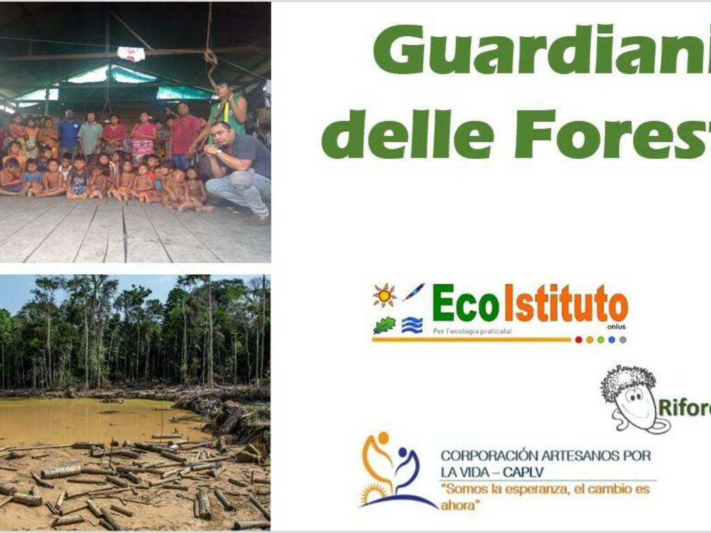 Guardiani Foreste