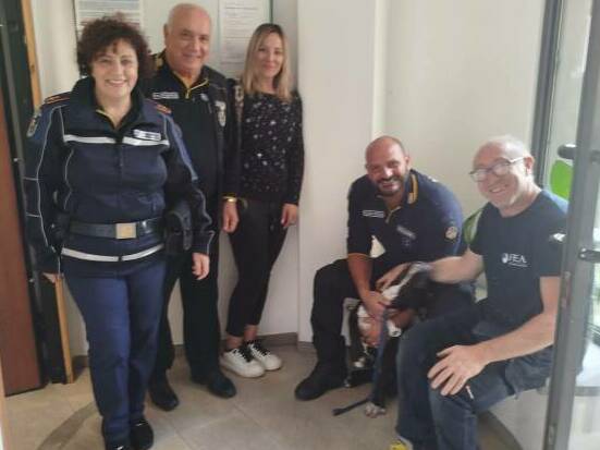 polizia liocale rocca di papa cane