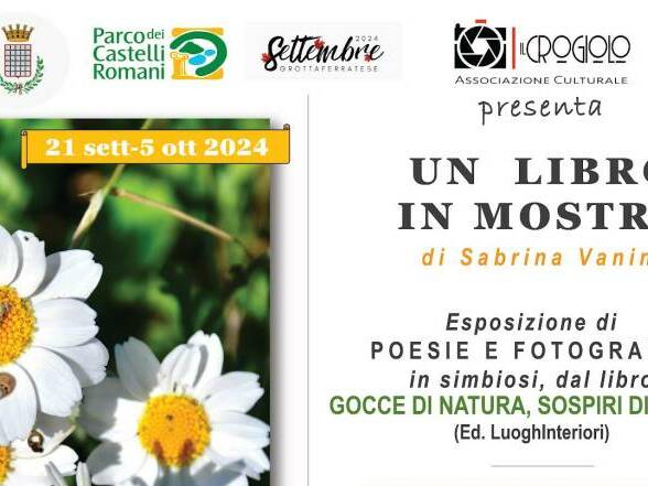 un libro in mostra